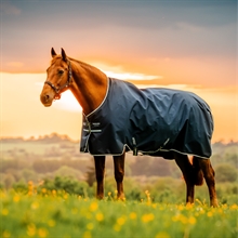 Horseware Amigo Ripstop 900D Plus Pony 100 gram
